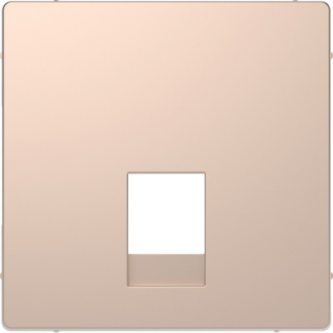 Центральная накладка SCHNEIDER ELECTRIC MERTEN D-LIFE для розетки 2-ной RJ11/RJ12, ШАМПАНЬ MTN4215-6051