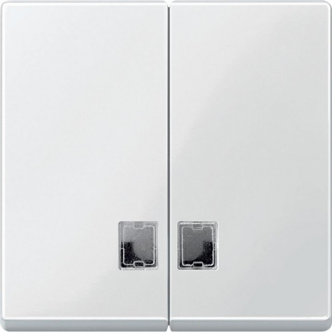 Клавиша двойная SCHNEIDER ELECTRIC MERTEN с окошком для световой индикации, ПОЛ.БЕЛЫЙ, SM MTN438519