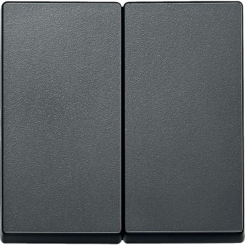 Клавиша двойная SCHNEIDER ELECTRIC MERTEN X2, АНТРАЦИТ, SM