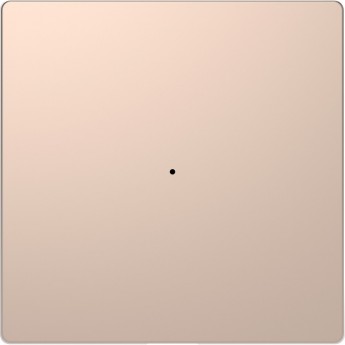 Клавиша одинарная без символов MERTEN D-LIFE PLUSLINK, ШАМПАНЬ, SD