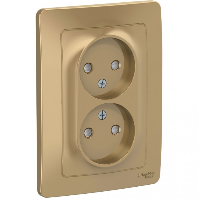 Розетка двойная SCHNEIDER ELECTRIC BLANCA с/у без заземления, со шторками, 16А, 250В, титан BLNRS000124