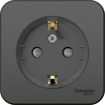 Розетка SCHNEIDER ELECTRIC BLANCA с заземлением, со шторками, (компакт), с изолирующей пластиной, 16А, 250В, антрацит