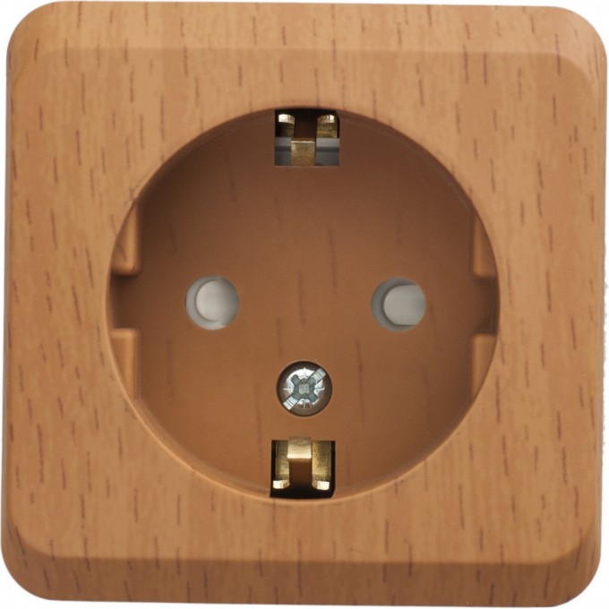 Розетка SCHNEIDER ELECTRIC ЭТЮД с заземлением со шторками 16А 250B, бук, Россия PA16-004T